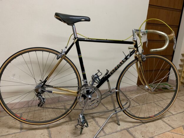 Un Gioiello in Oro 24 KT: La Storia della Cicli Trevisan