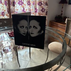 Mina album Catene