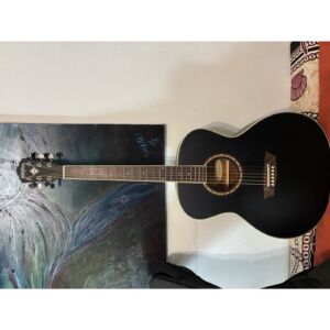 Washburn G7SBM Harvest Acoustic