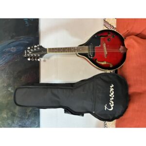 mandolino elettroacustico stile A,