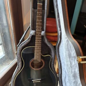 Yamaha APX